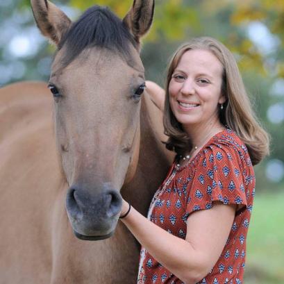 A Comprehensive Guide To Horse Traveling by Trailer | PetMD